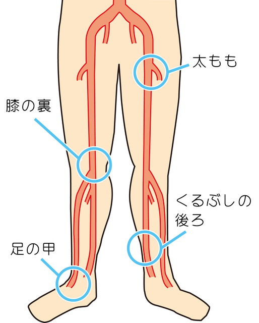 足の血管